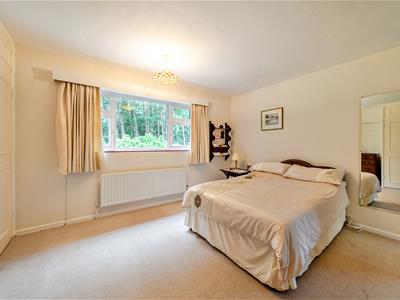 Picture 11